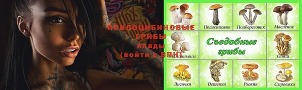 СК Аркадак
