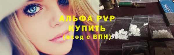 СК Аркадак
