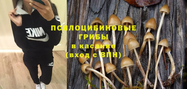 СК Аркадак