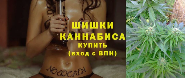 СК Аркадак