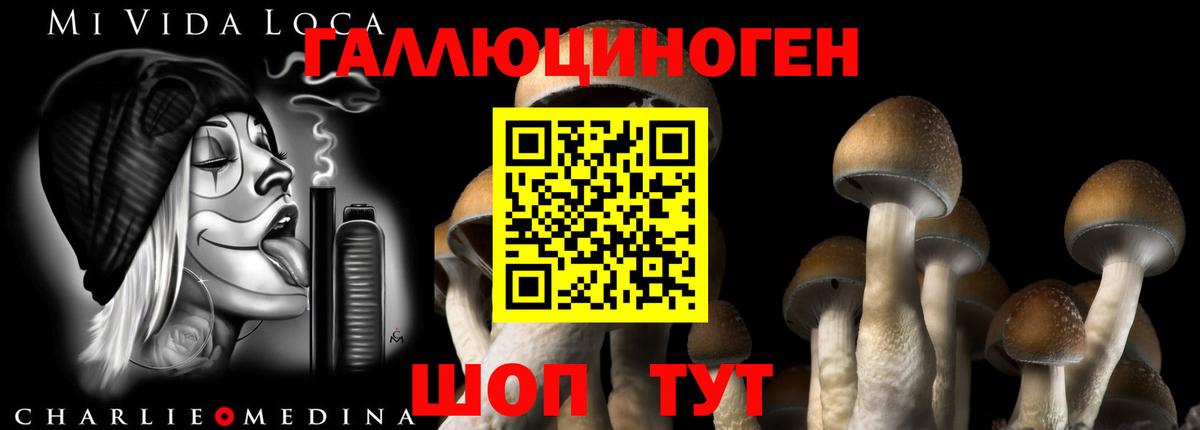 Псилоцибиновые грибы Psilocybe  Вход с VPN  Каспийск 